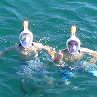 Full mask snorkeling at Cades Reef